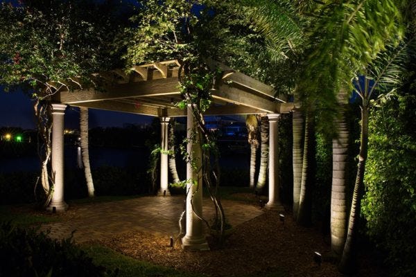 Illuminated trees & backyard pergola with AMP® Spotlights