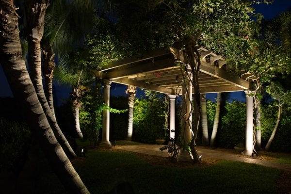 Illuminated trees & backyard pergola with AMP® Spotlights