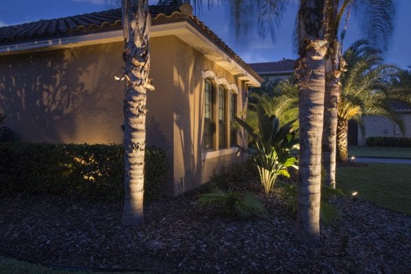 Illuminated home with AMP® Lighting Spotlights